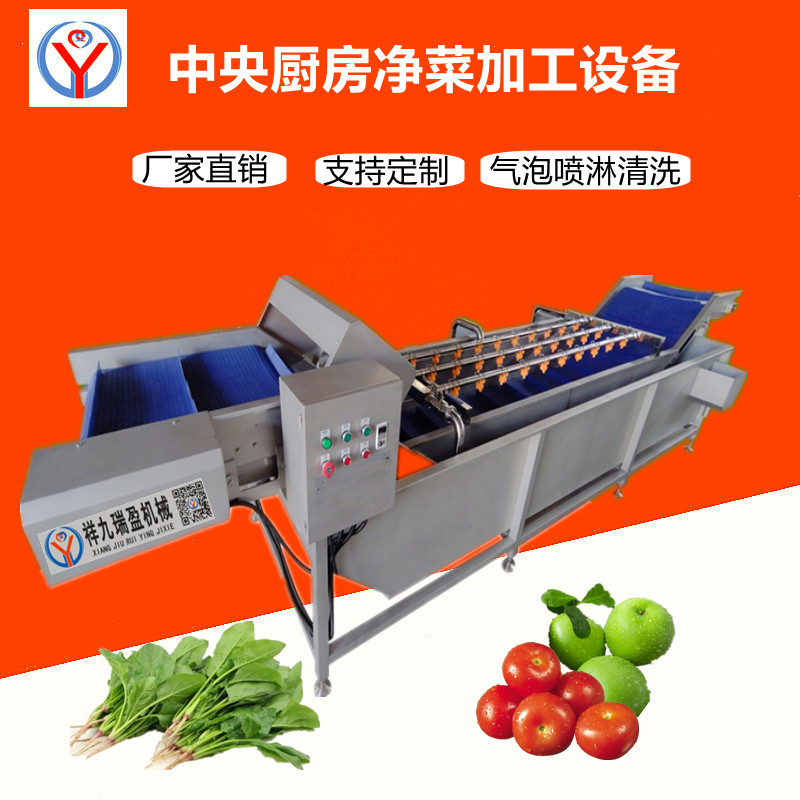 洗菜機(jī)-毛菜清洗機(jī)-氣泡噴淋清洗機(jī)